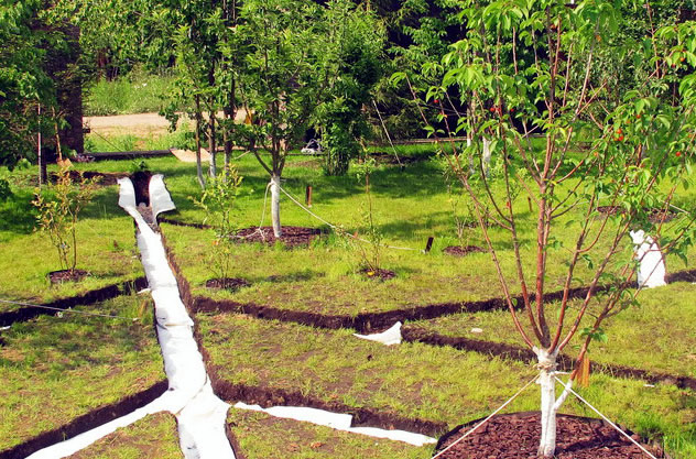 Садовый участок, почва